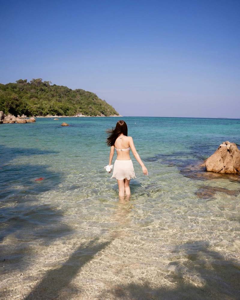 น้ำตาล พิจักขณา