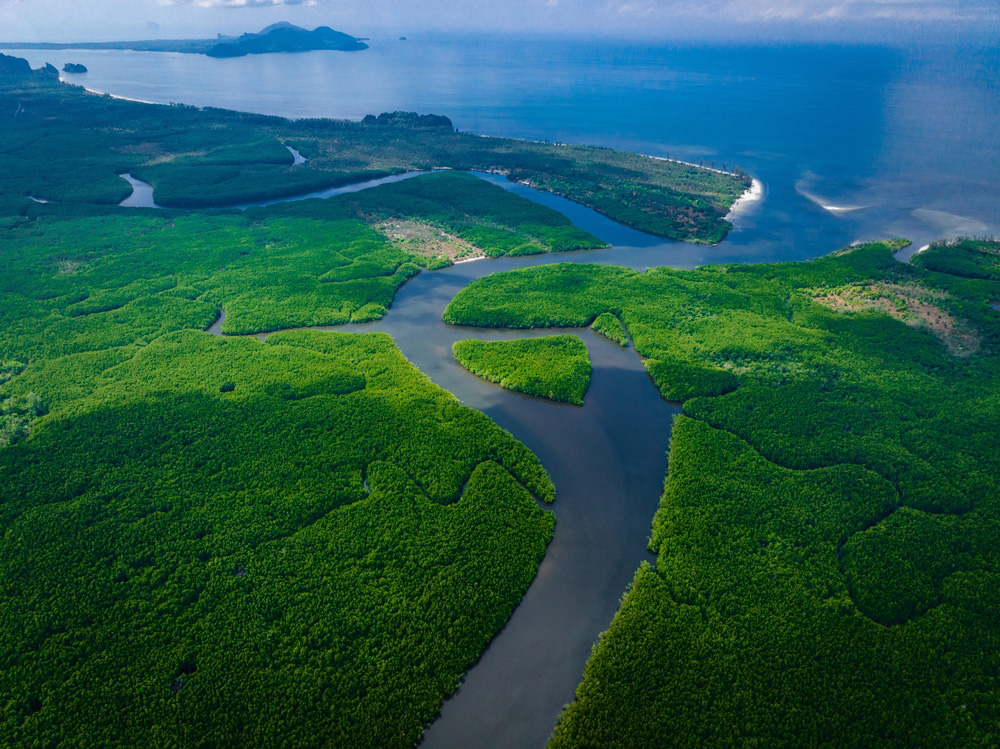 ที่เที่ยวไทย เขาจมป่า จังหวัดตรัง 