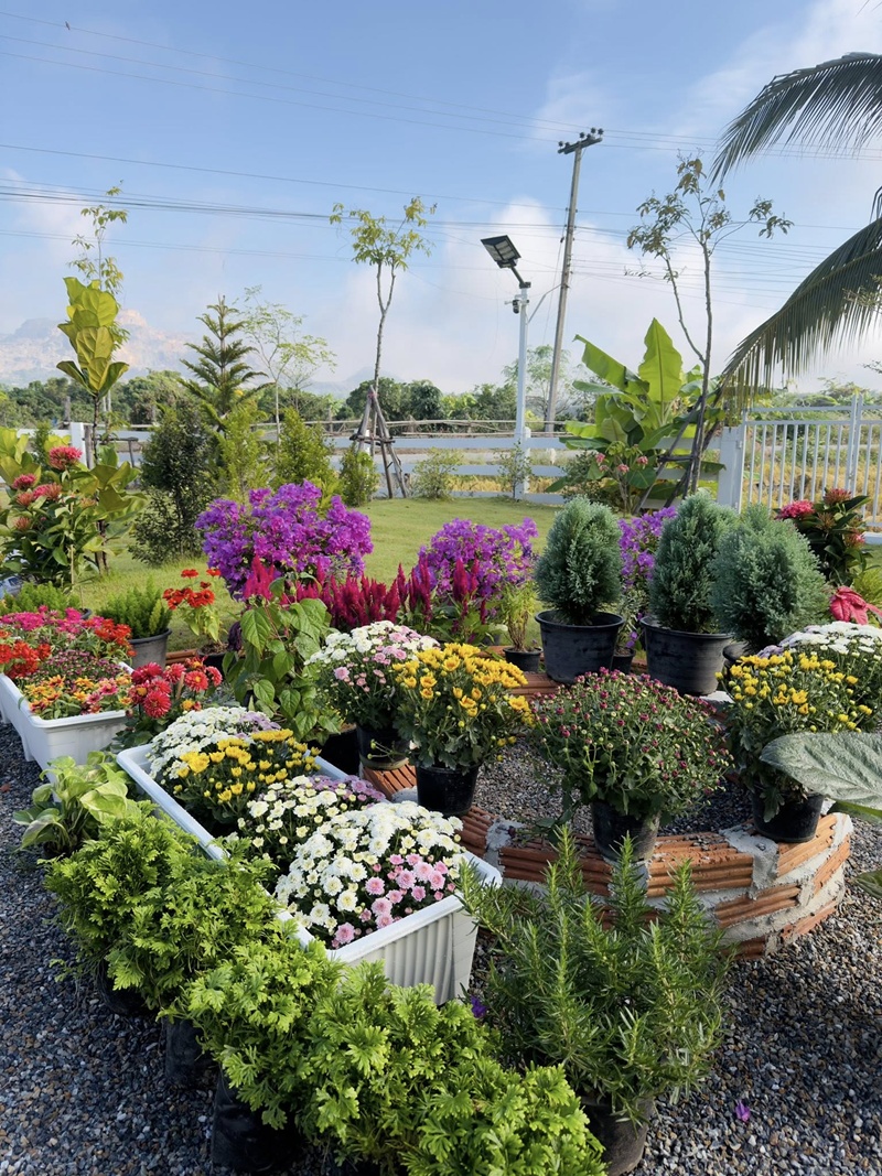 สร้างบ้าน