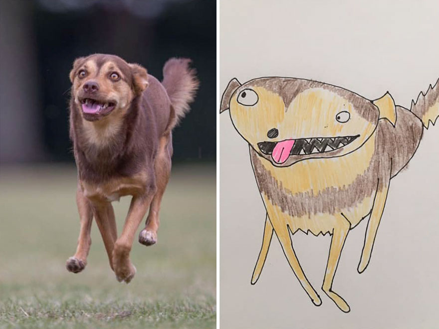 ภาพวาดสัตว์