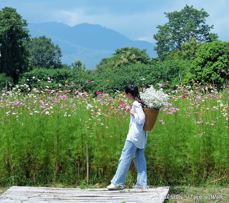 Flower Lover CNX สวนดอกไม้เชียงใหม่