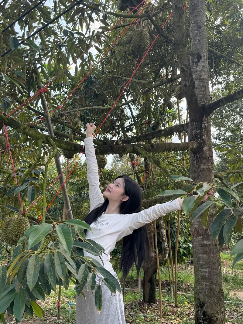 มาเบล PiXXiE