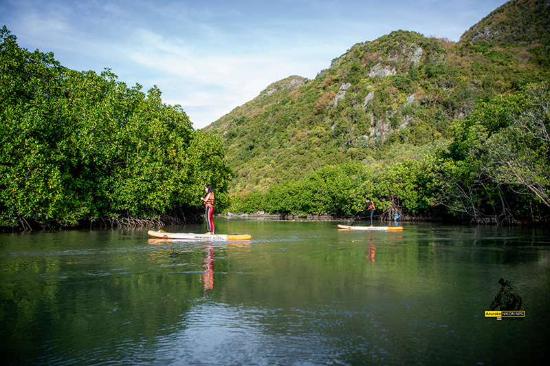 ที่เล่น SUP Board