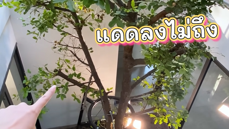 บ้านใหม่ มิว นิษฐา