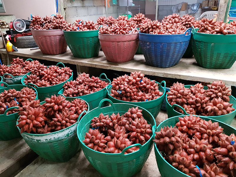 สวนผลไม้ตราด