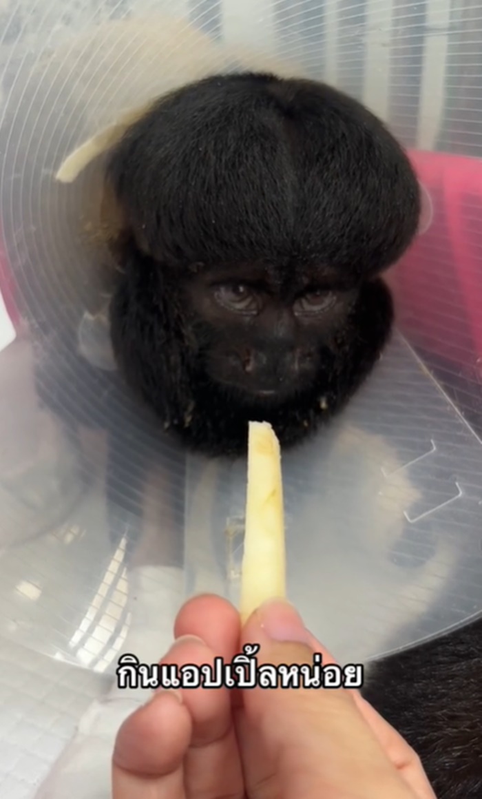 ชื่อคนไข้