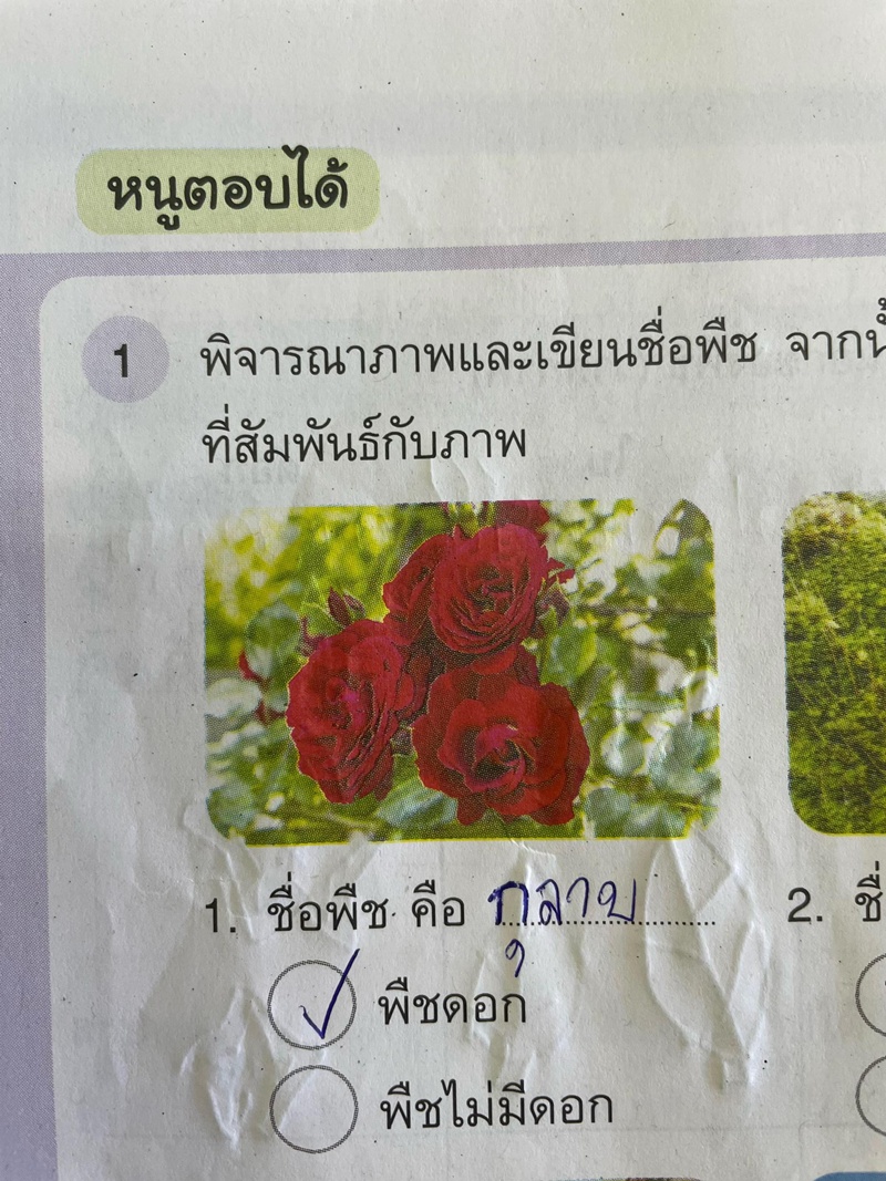 ชื่อพืช