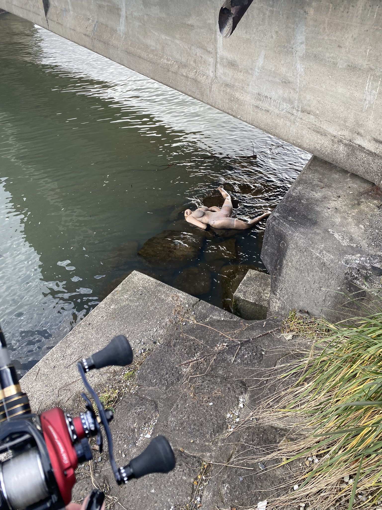 ศพลอยน้ำ