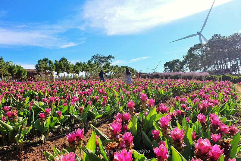 ที่เที่ยวเดือนสิงหาคม