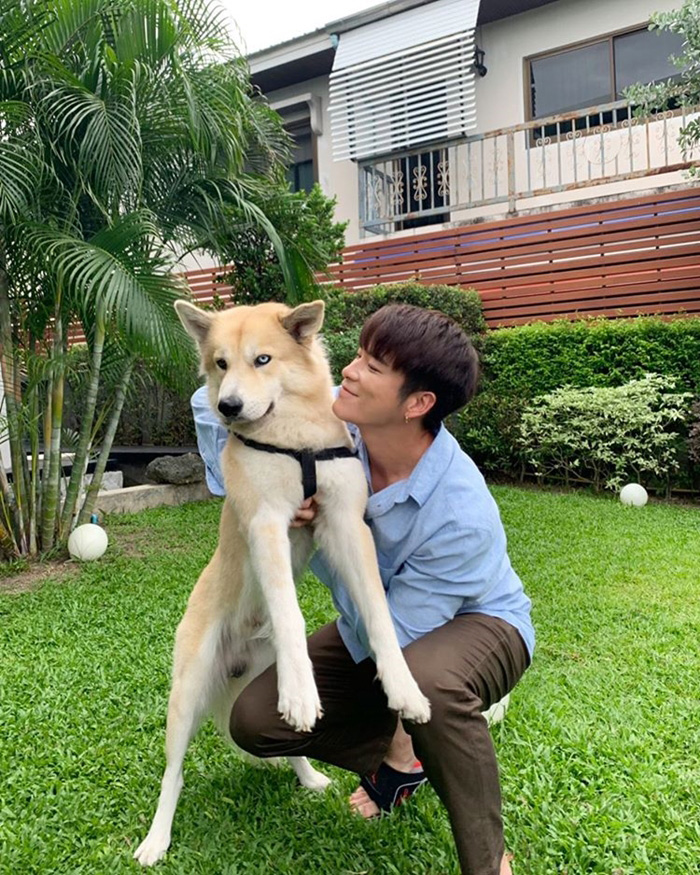 อาเล็ก ธีรเดช สุนัข