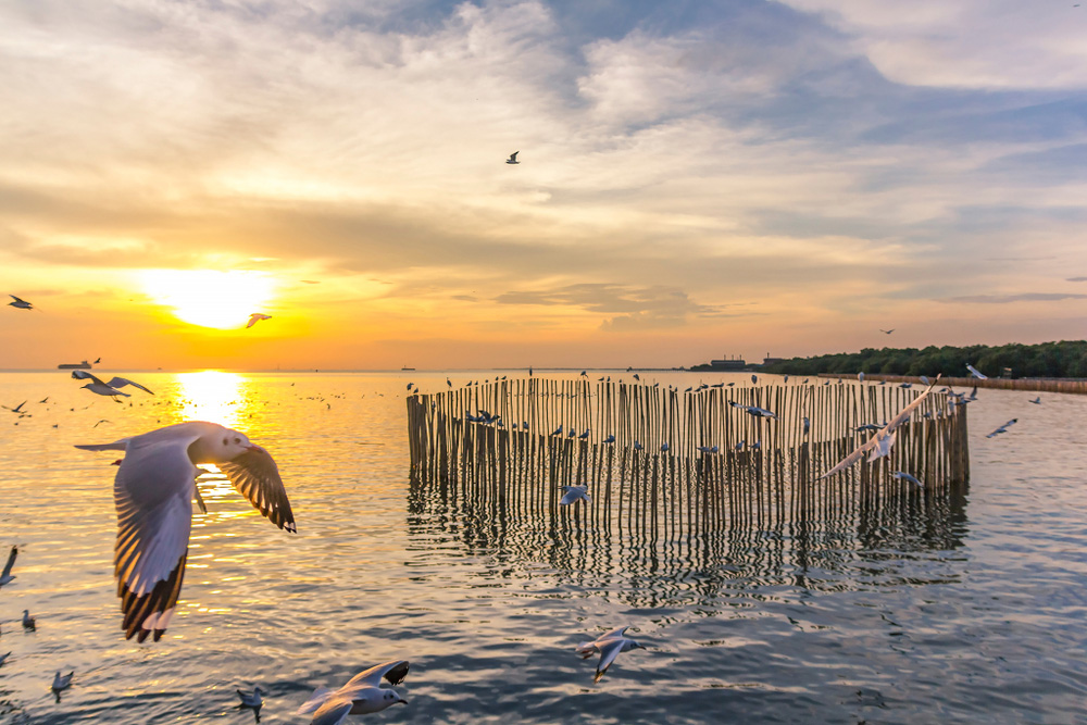 สถานที่ท่องเที่ยวภาคกลาง