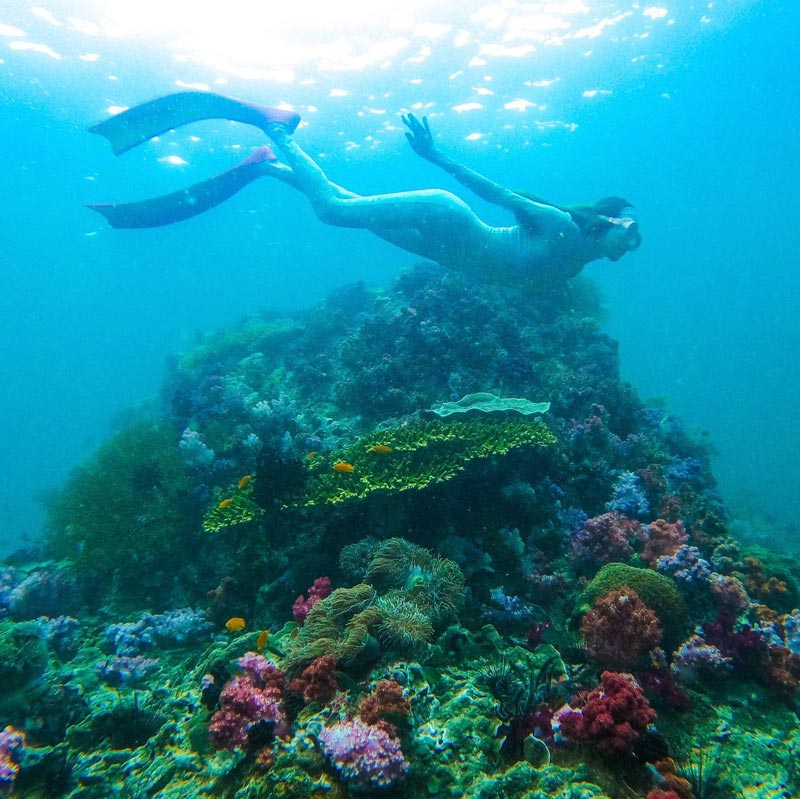 เกรซ กาญจน์เกล้า