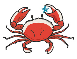 เสริมดวง