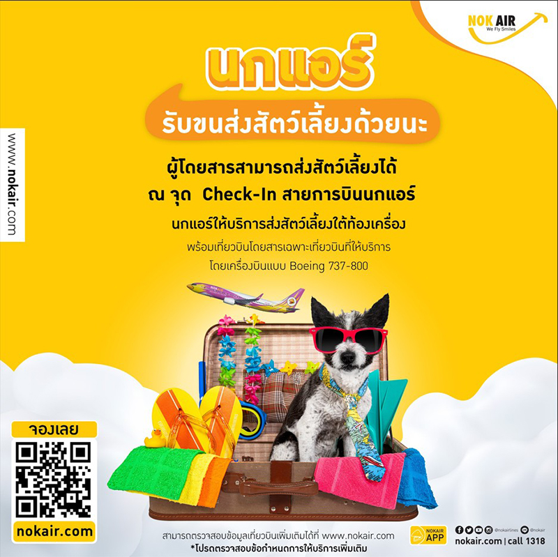 พาสัตว์เลี้ยงขึ้นเครื่องบิน สายการบินในประเทศ