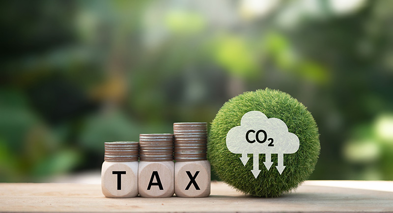 ปลูกต้นไม้ลดภาษี