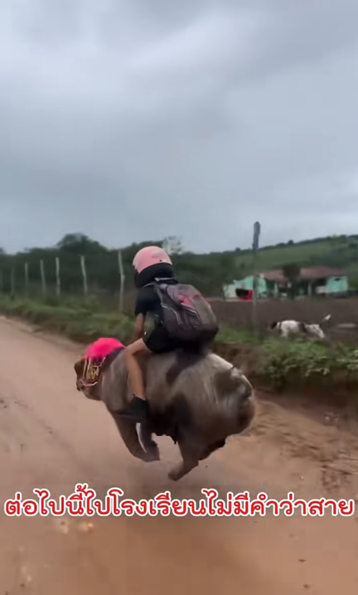 ไปโรงเรียน