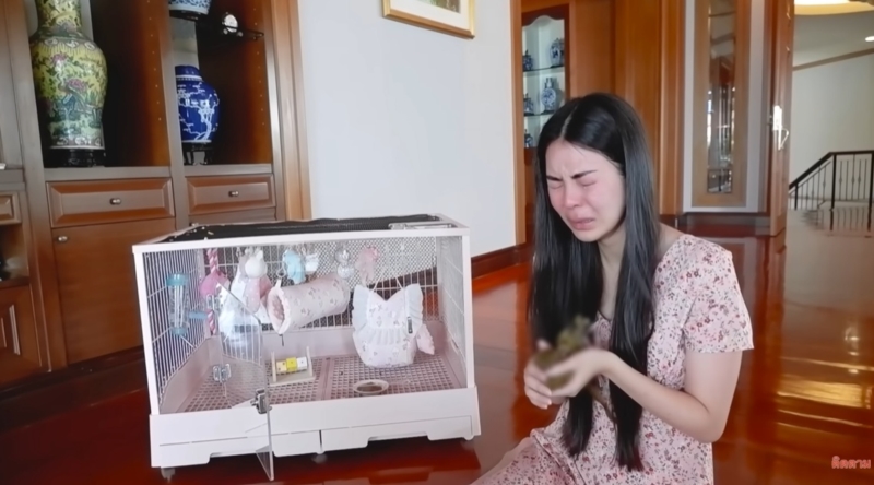 เอวา ปวรวรรณ 