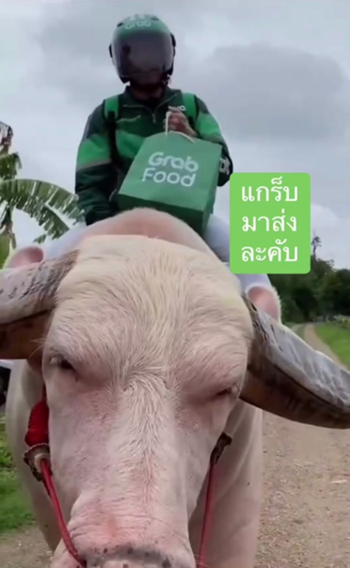 ส่งอาหาร