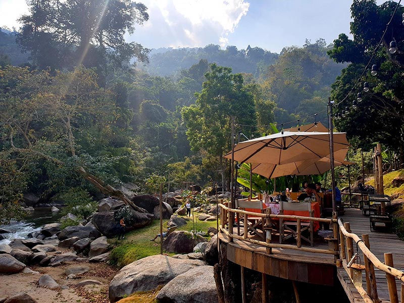 Stay Wild & Cafe เชียงใหม่