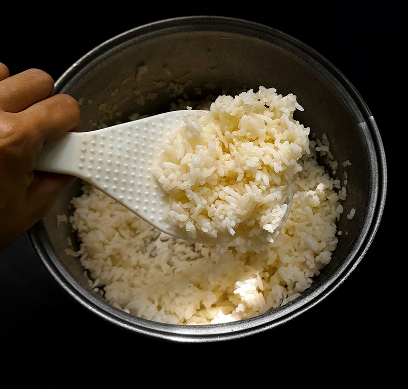 ข้าวบูดเกิดจากอะไร