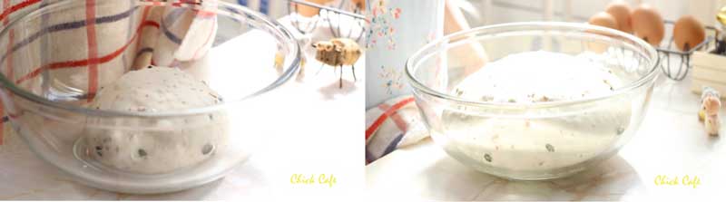 ขนมปังธัญพืช