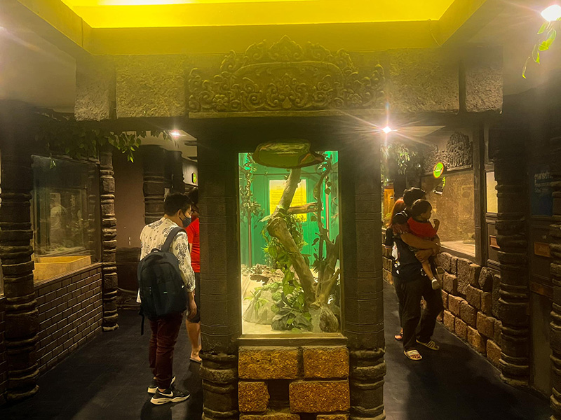 สวนสัตว์พาต้า