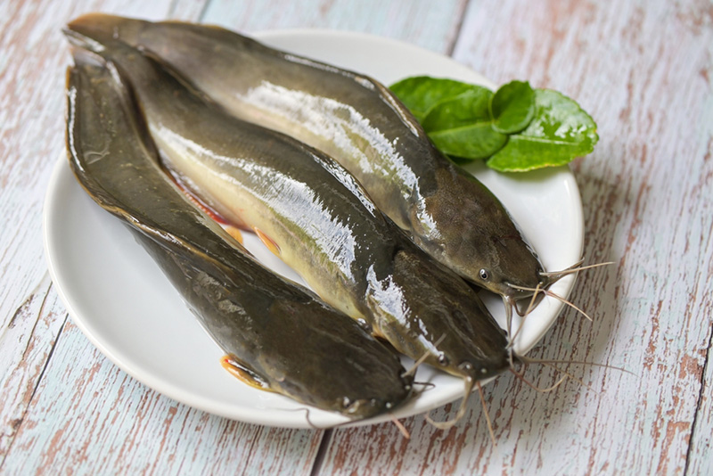 สูตรทำผัดปลาดุก