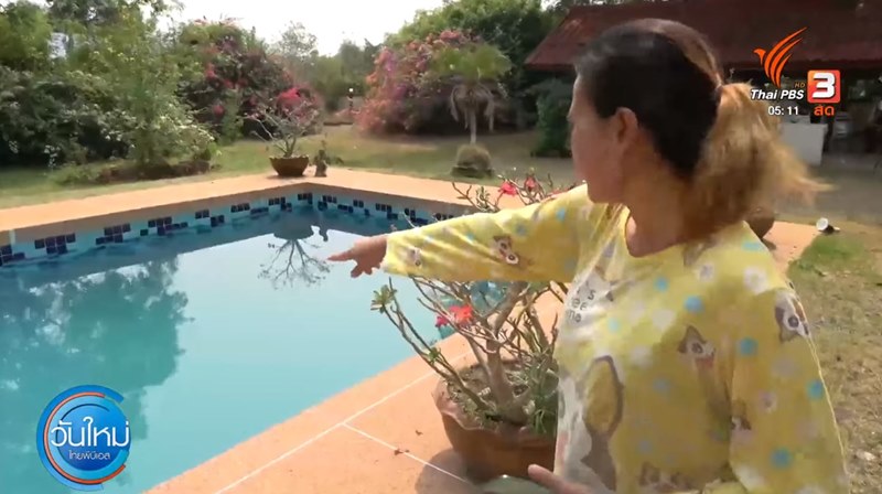 อิงดาว ดุจดาริกา