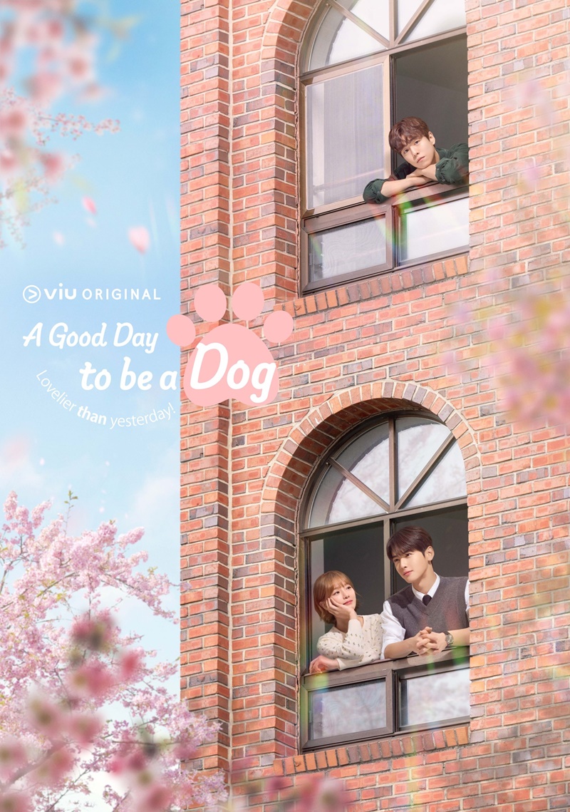 A Good Day to be a Dog