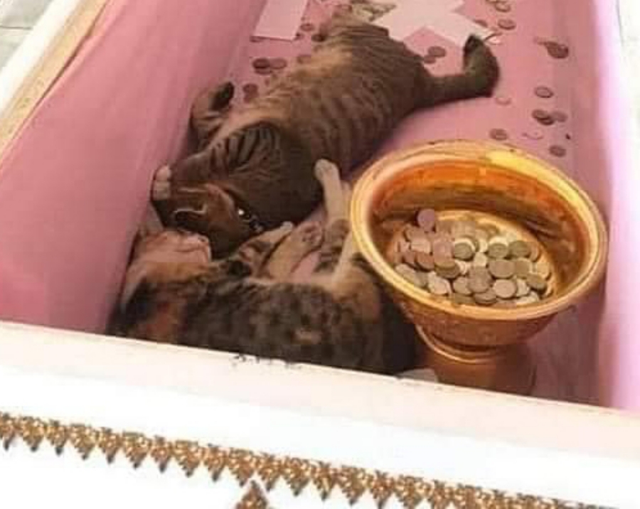 ทำบุญโลงศพ