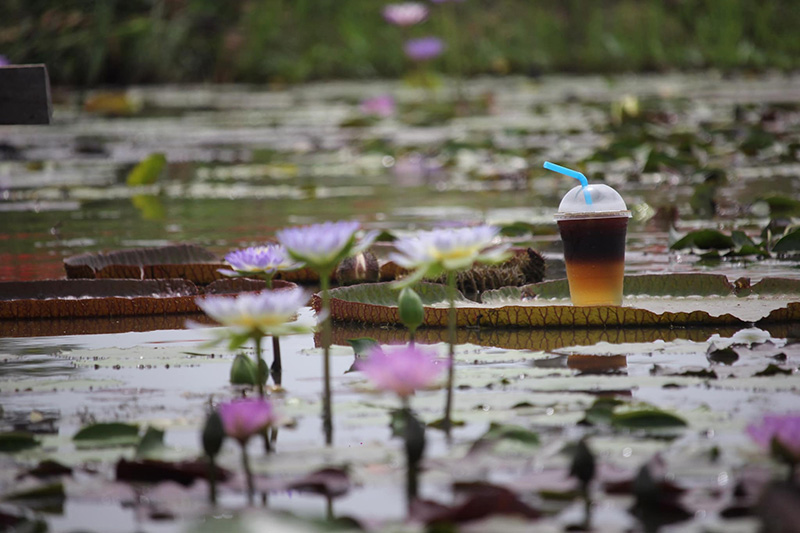 ร้านคาเฟ่กำแพงเพชร