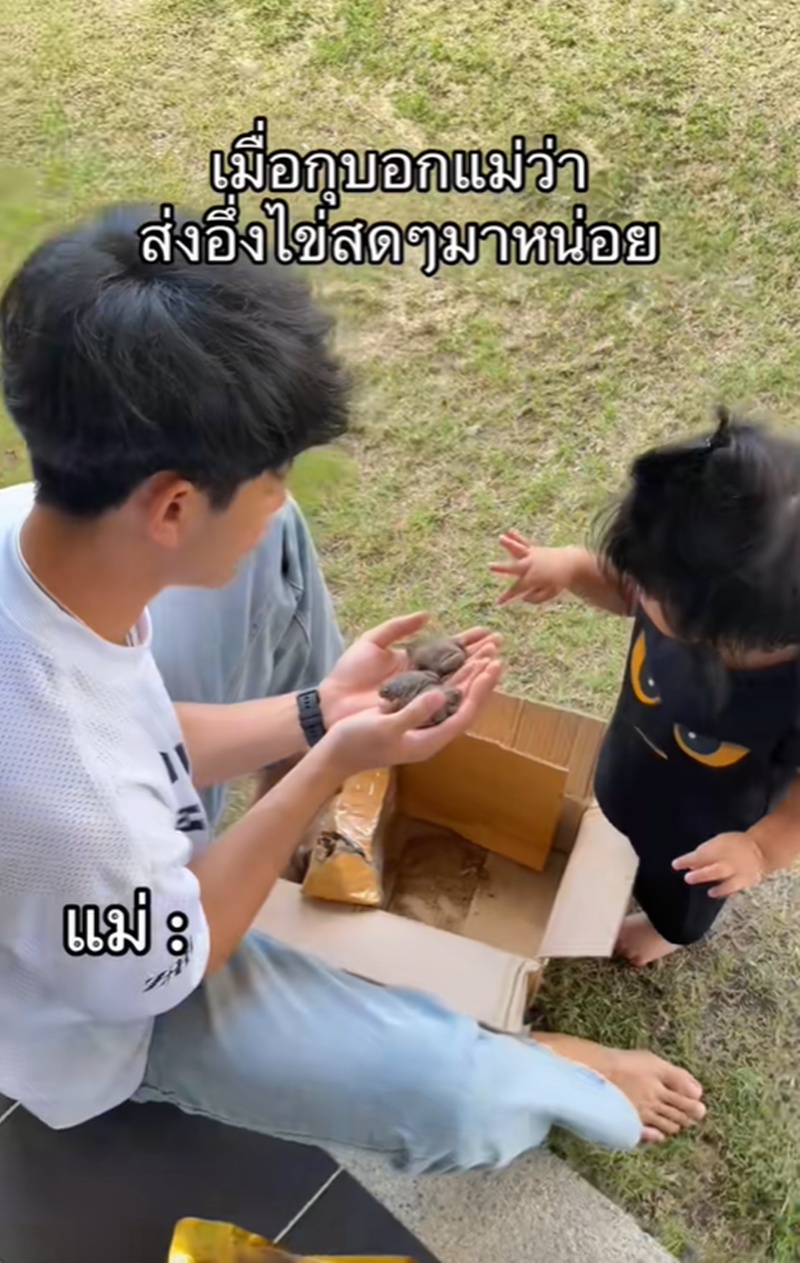 อึ่งไข่