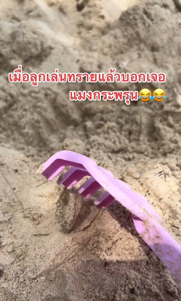 เล่นทราย