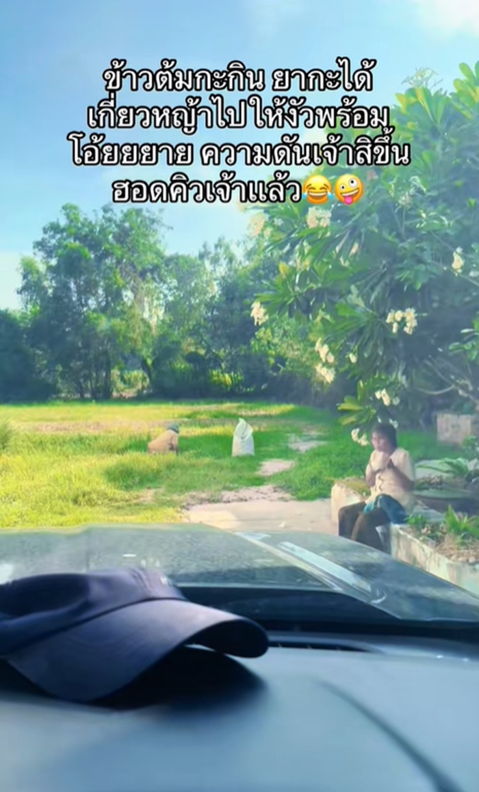 เกี่ยวหญ้า