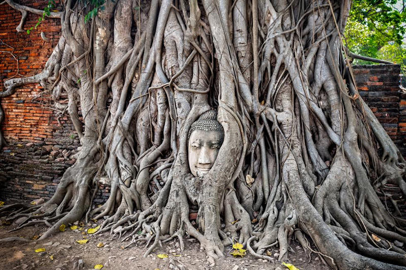 ที่เที่ยวอยุธยา เปิด