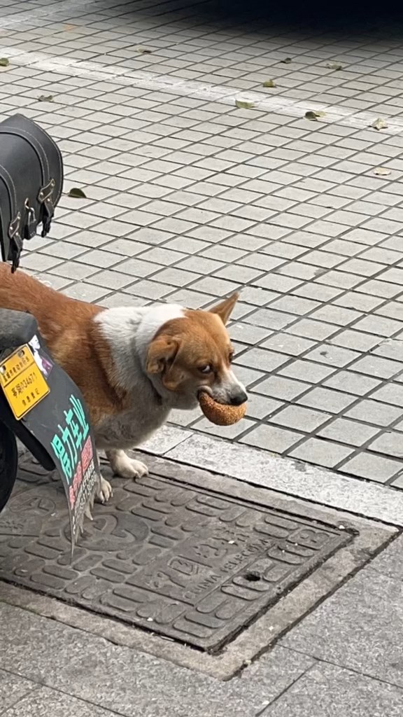 ขโมยของกิน
