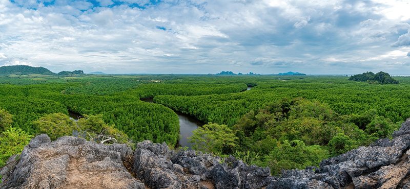 เที่ยวหน้าหนาว