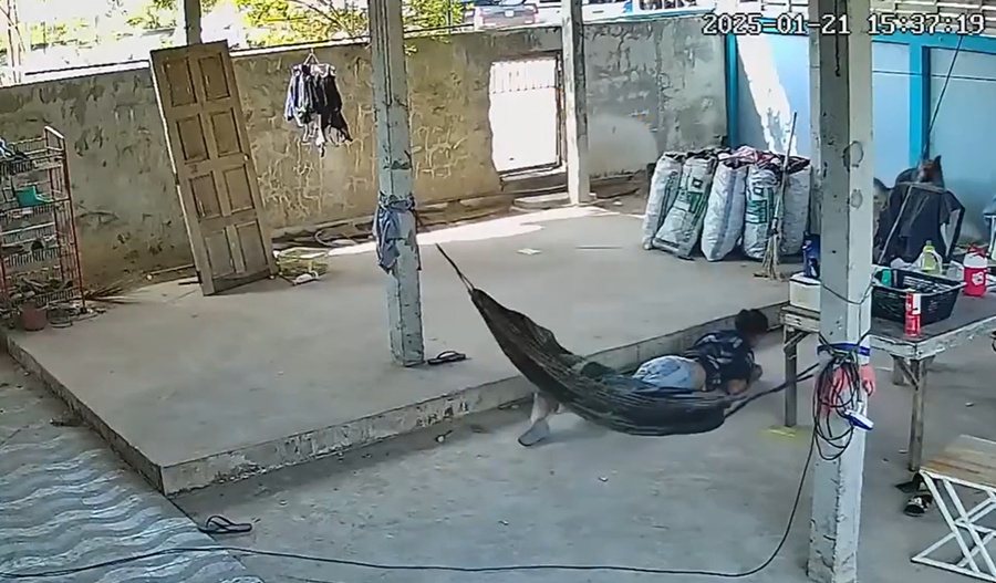 วิ่งไล่จับ