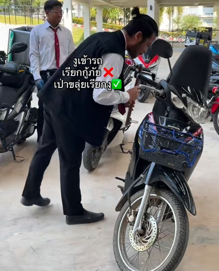 งูเข้ารถ