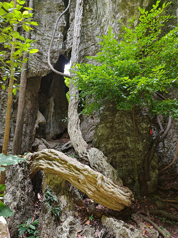 วัดถ้ำโพธิสัตว์ เลย