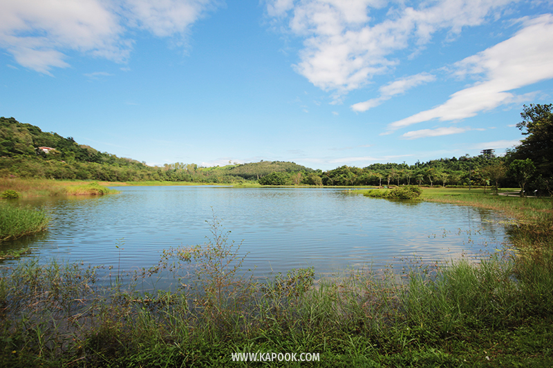 ป่าวังจันทร์