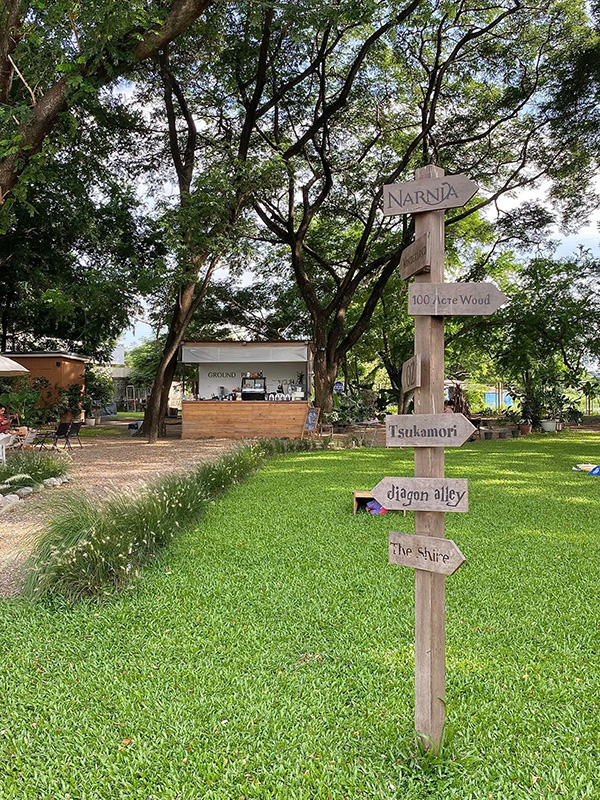 Ground Phlox บรรยากาศในสวน