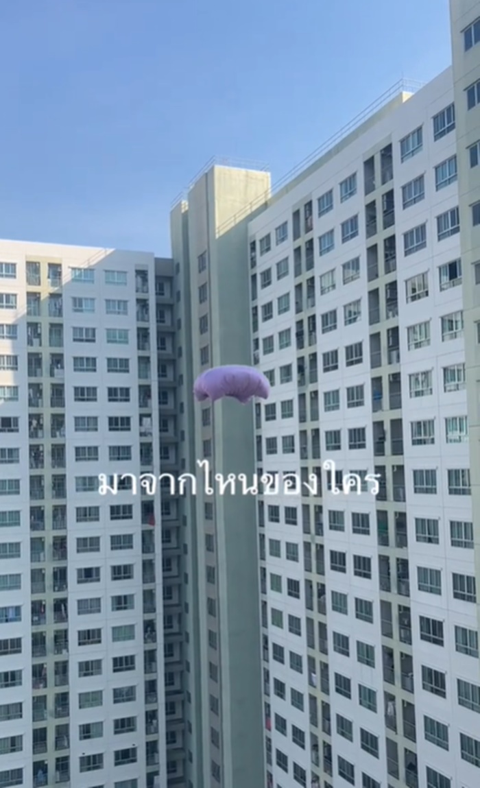 แมงกะพรุนลอยฟ้า