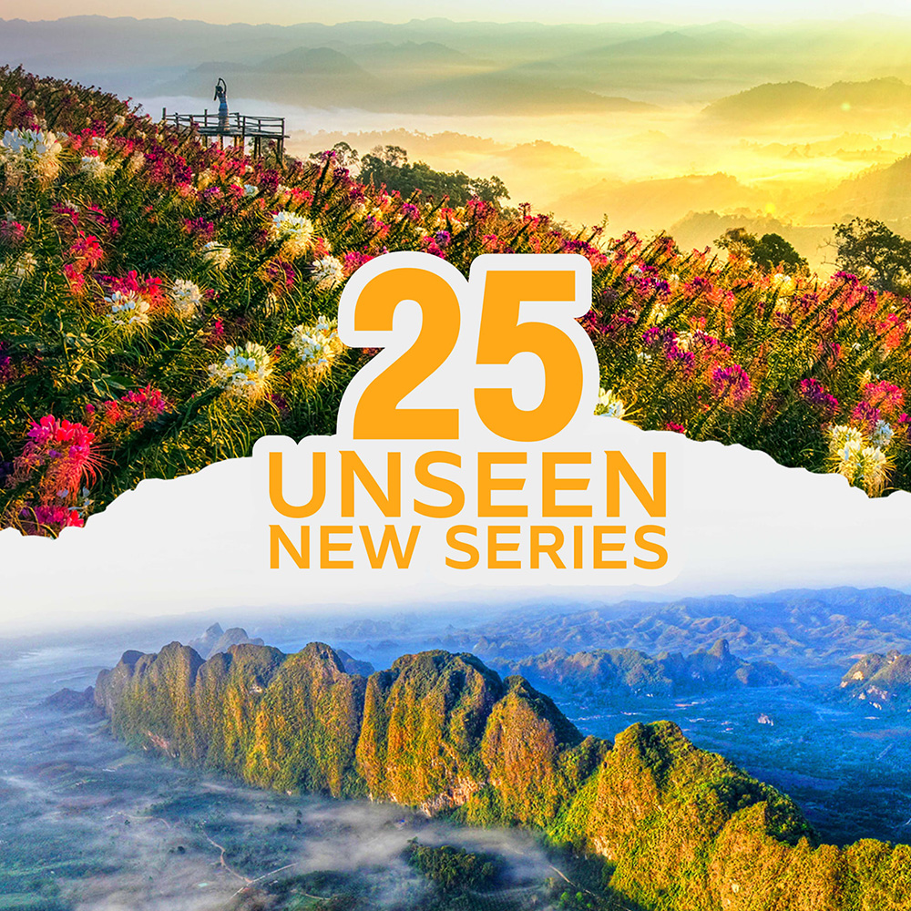 UNSEEN New Series