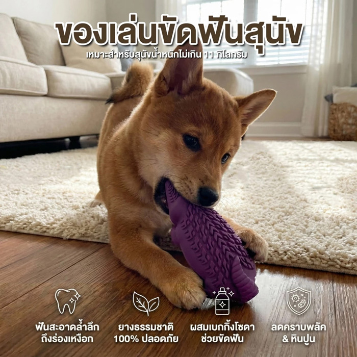 Arm and Hammer Treadz ของเล่นสุนัข ดูแลเหงือกและฟัน