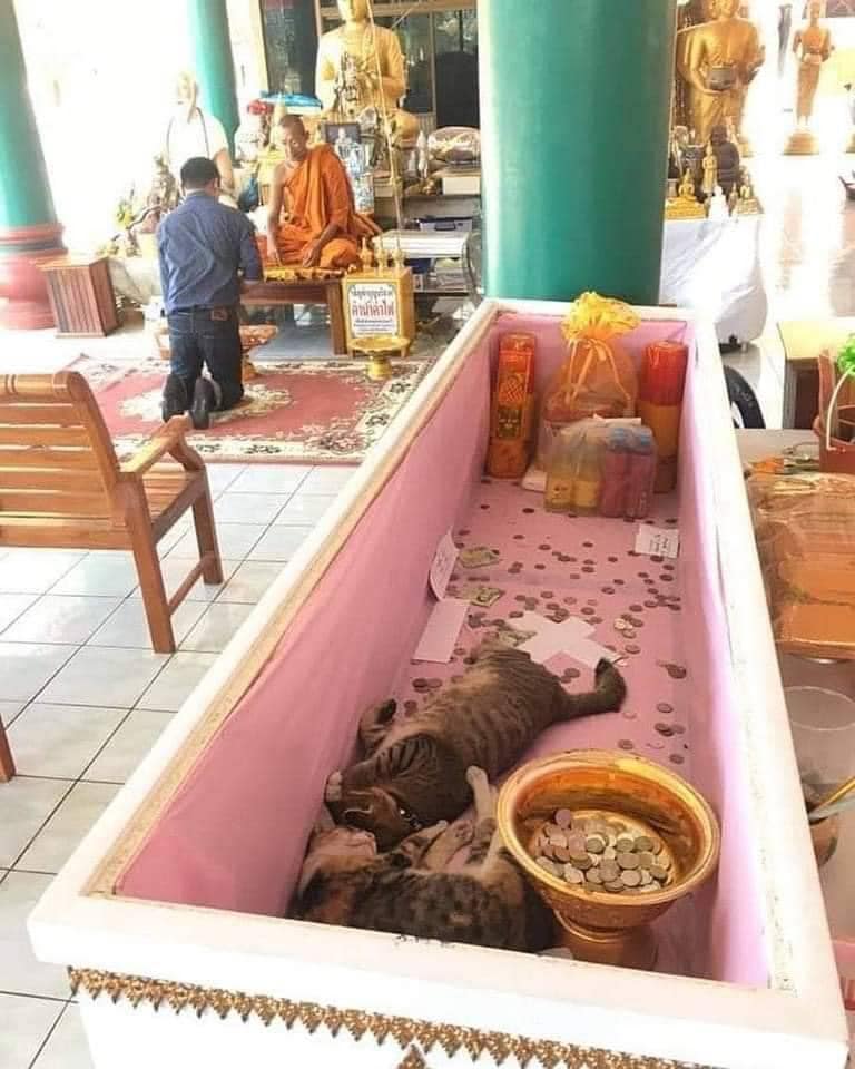 ทำบุญโลงศพ