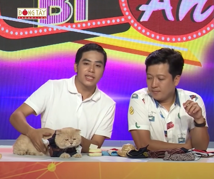 แมวเซ็ง