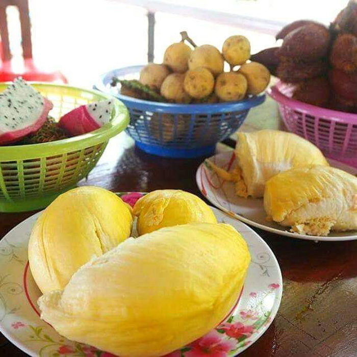 สวนทุเรียนบุฟเฟ่ต์ 2564