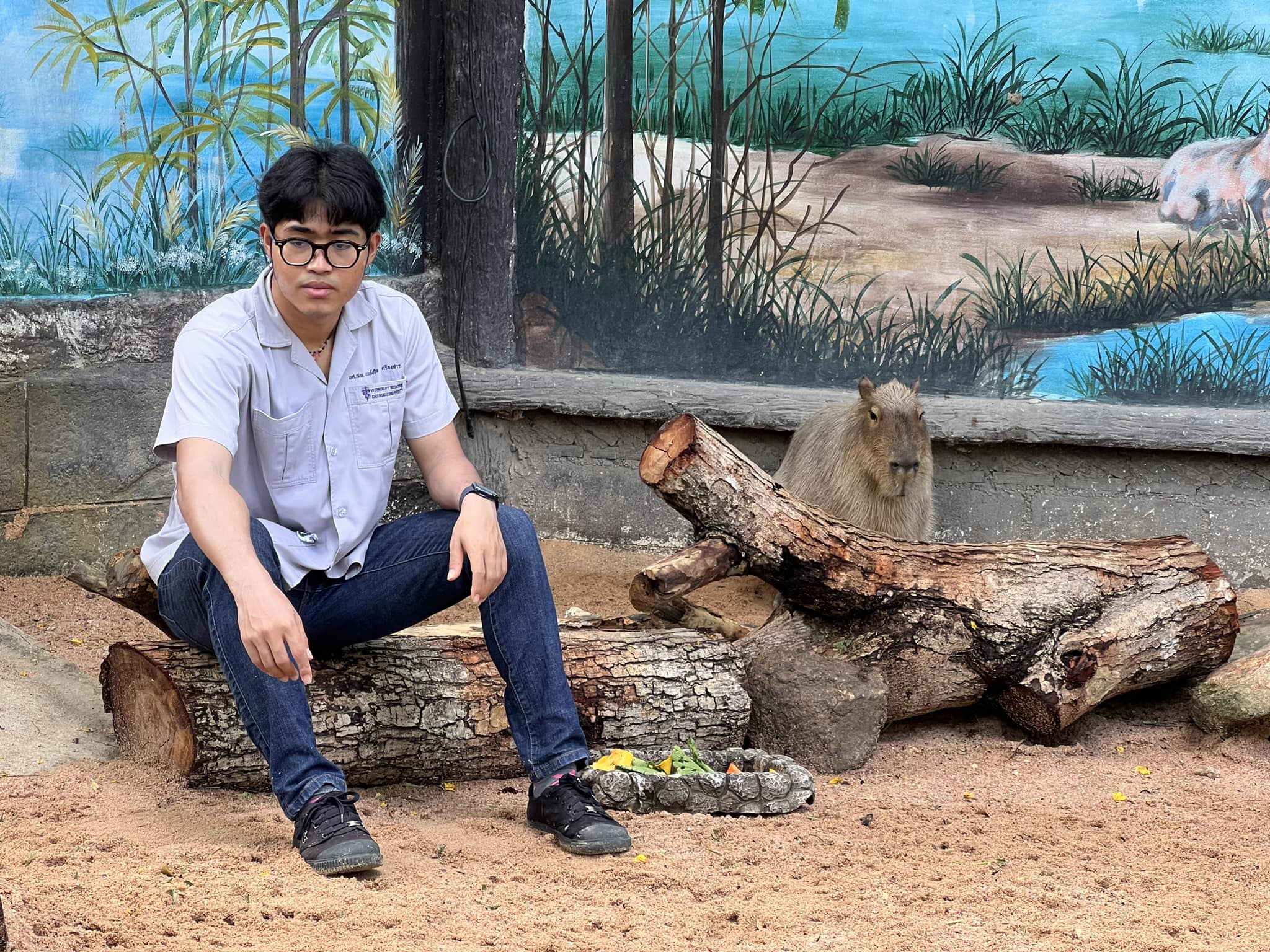 คาปิบารา