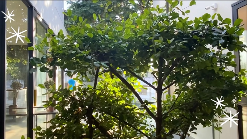 บ้านใหม่ มิว นิษฐา